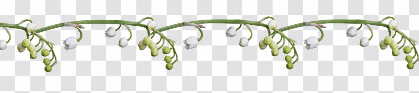 Lily Of The Valley .de Flower Blog Labour Day Transparent PNG
