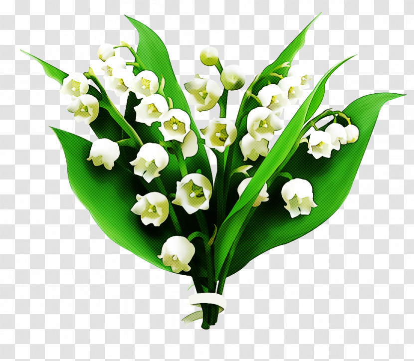 Flower Lily Of The Valley Plant Bouquet Cut Flowers Transparent PNG