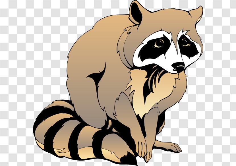 Raccoon Giant Panda Clip Art - Drawing - Cliparts Transparent PNG