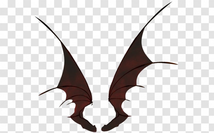 Bat Wing Development Drawing Art - Photography Transparent PNG