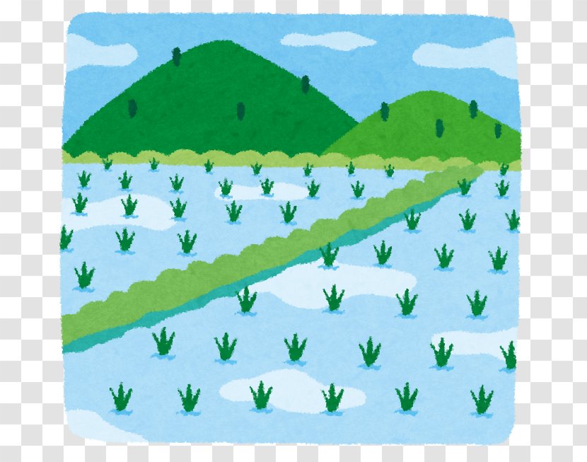 Paddy Field Rice Ministry Of Agriculture, Forestry And Fisheries Kawauchi - Tree - Fields Transparent PNG