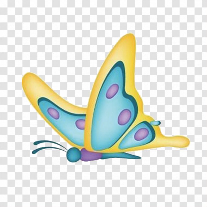 Butterfly - Wing - Moths And Butterflies Transparent PNG