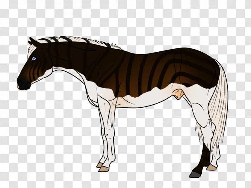 Mustang Pony Stallion Foal Mare Transparent PNG