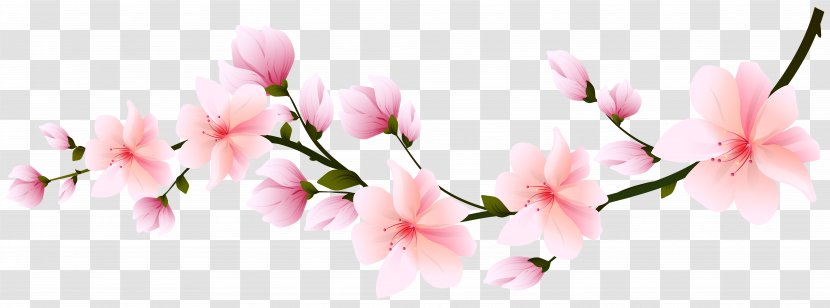 Cherry Blossom Flower Clip Art - Plant Stem - Sakura Branch Transparent PNG