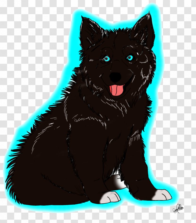 Schipperke Black Cat Whiskers Dog Breed - Paw - Wolf Transparent PNG