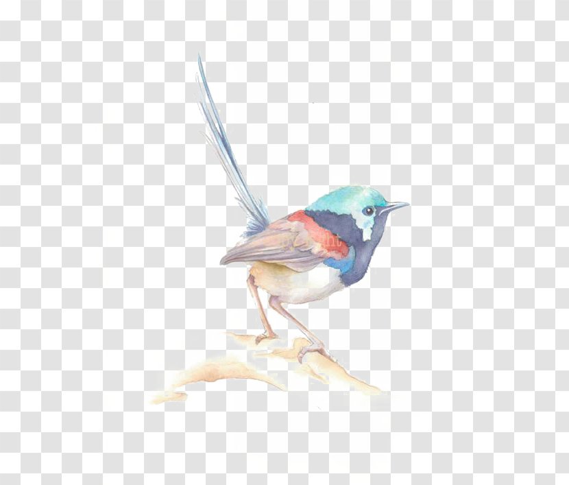 Bird Watercolor Painting Drawing Sparrow - Printmaking Transparent PNG