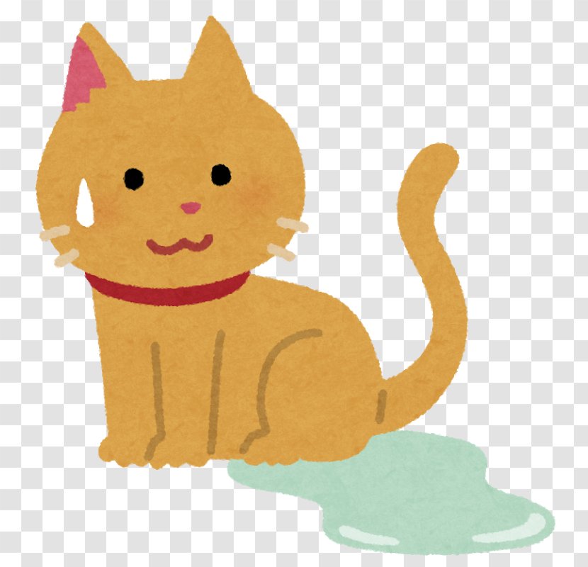 Cat Food Therapy Kidney Struvite Transparent PNG