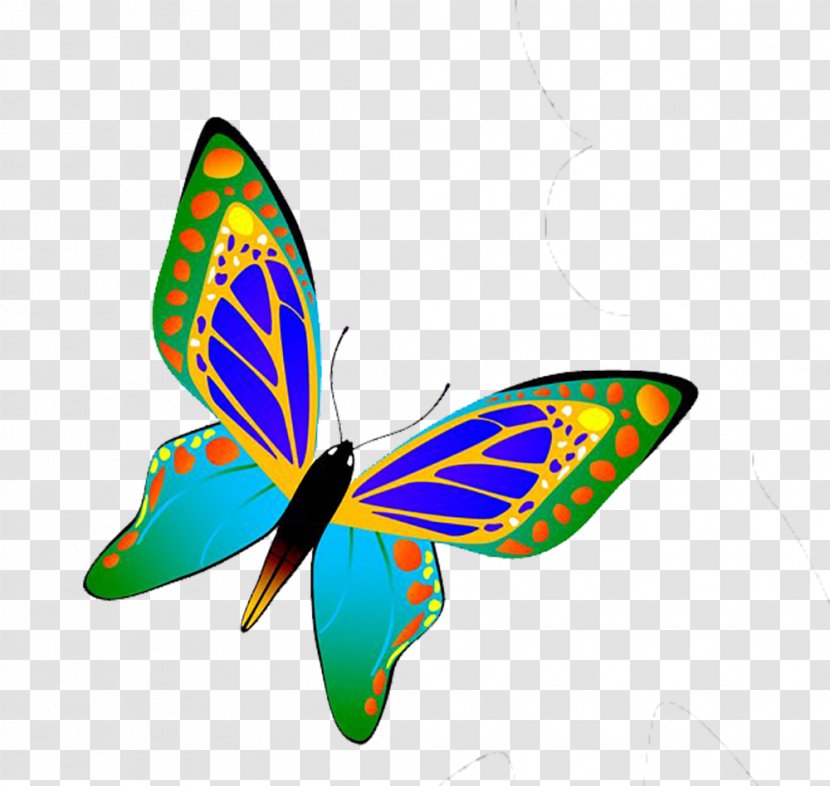 Butterfly Insect Euclidean Vector - Blue Transparent PNG