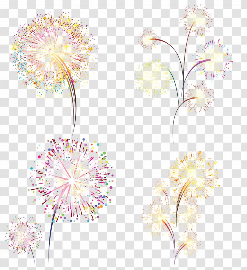 Fireworks Firecracker - Flowering Plant - Color Romantic Transparent PNG