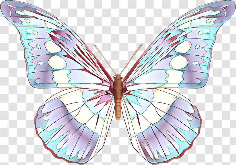 Butterfly Insect Moths And Butterflies Wing Pink - Brushfooted Symmetry Transparent PNG