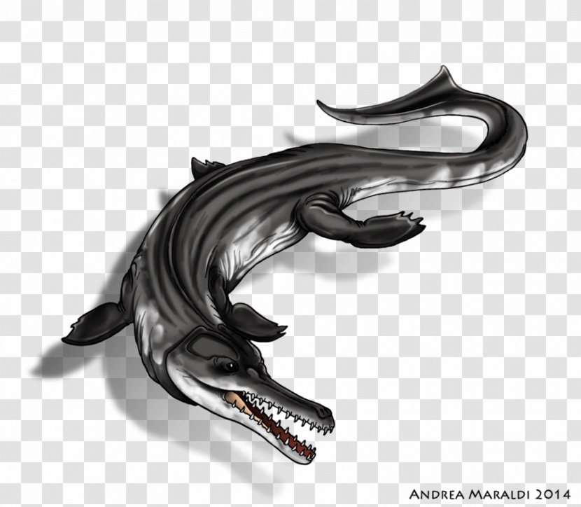 Metriorhynchus Crocodiles Dinosaur Ichthyosaur Transparent PNG