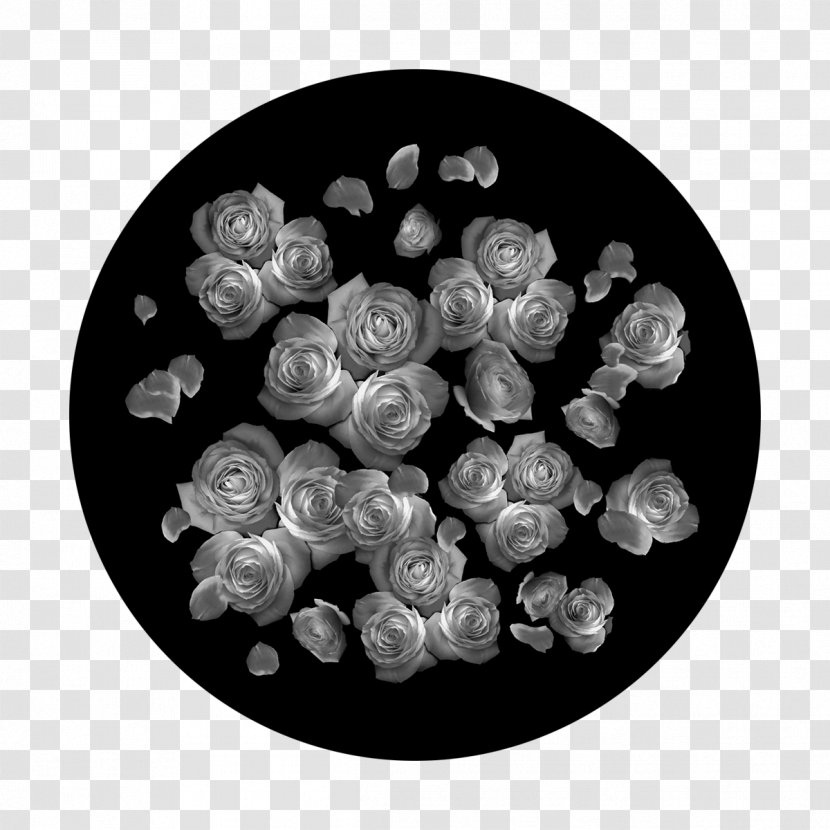 Gobo Circle Glass White Rose - Black And Transparent PNG