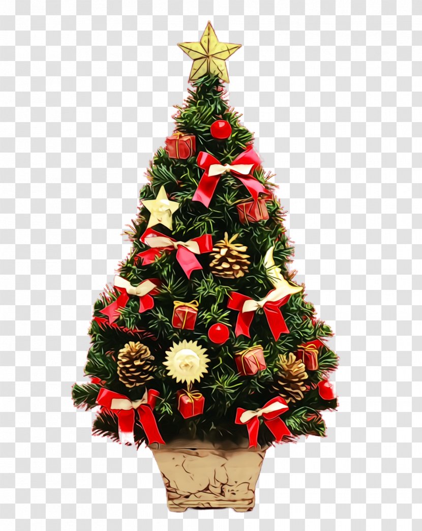 Christmas Tree - Wet Ink - Plant Pine Transparent PNG