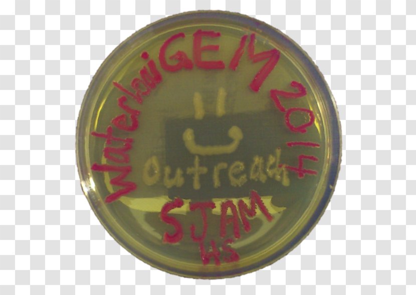 Badge Font - Outreach Transparent PNG