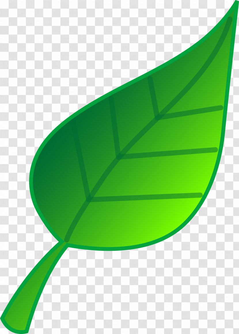 Leaf Clip Art - Herb Transparent PNG