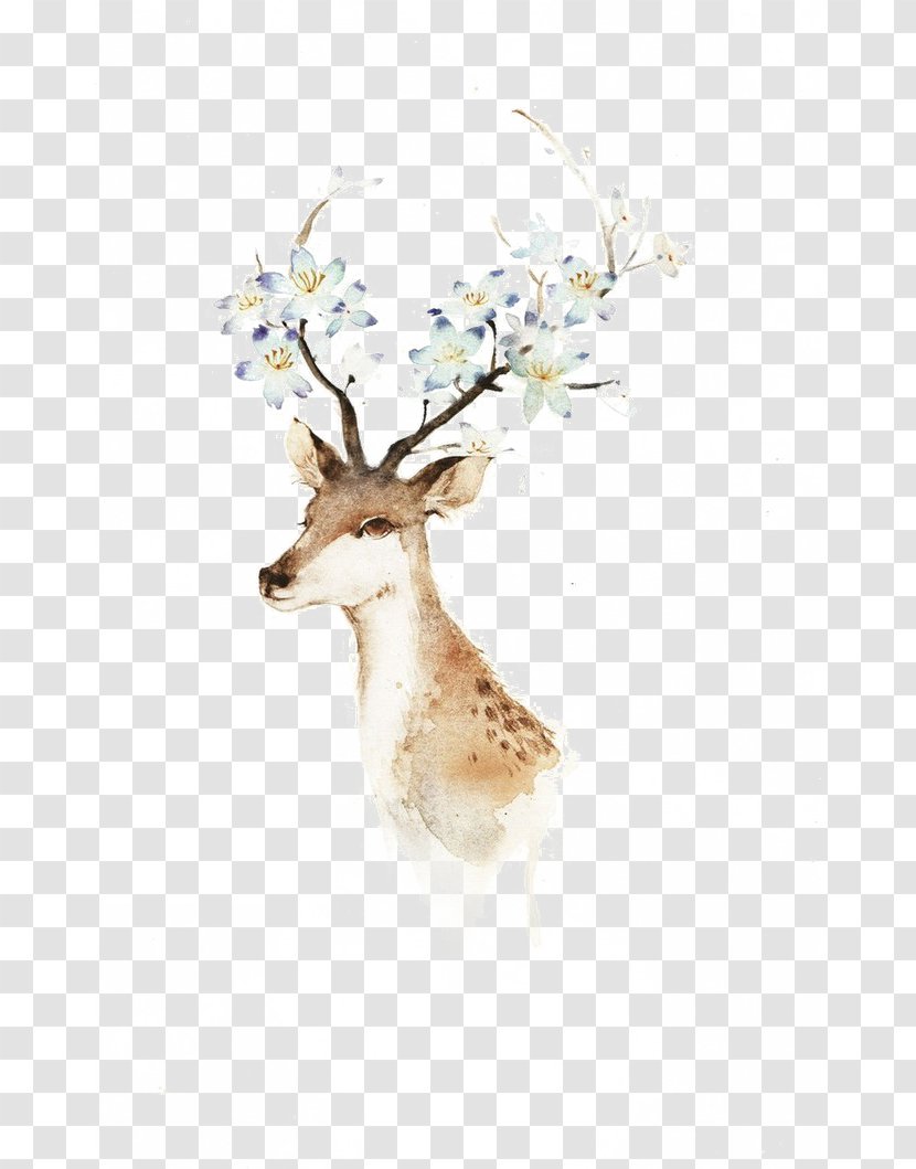 Deer Watercolor Painting Illustration - Antler - Animal Transparent PNG