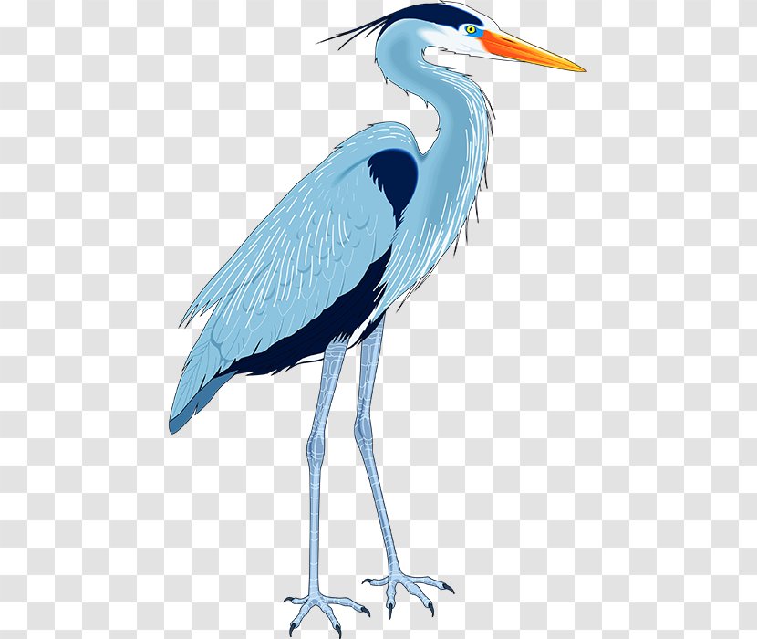 Great Blue Heron Drawing Clip Art - White Stork - Fauna Transparent PNG