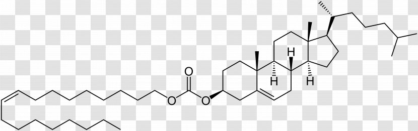 Cholesteryl Nonanoate Cholesterol Benzoate Steroid Lipid - Frame - Cartoon Transparent PNG