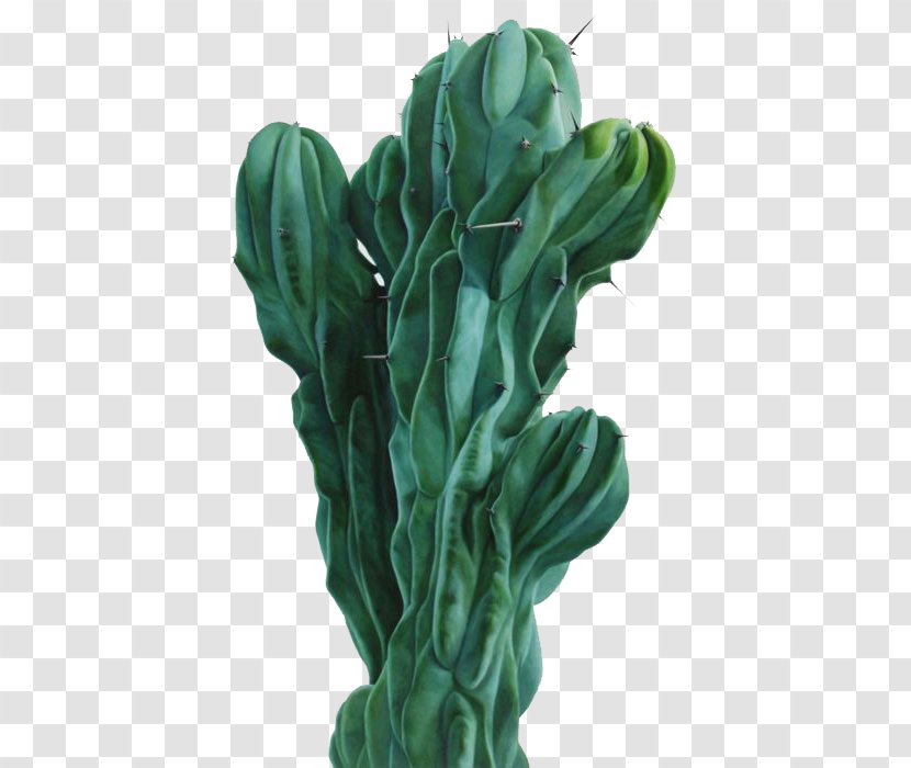 Cactaceae Oil Painting Hyperrealism Art - Leaf Vegetable - Cactus Transparent PNG