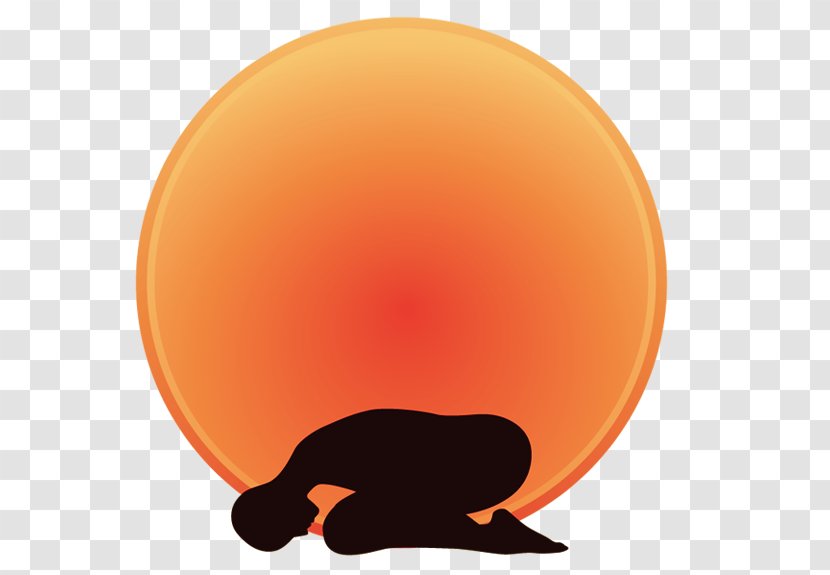 Desktop Wallpaper Earth Product Design Orange S.A. Blog - November - Bruce Lee Yoga Transparent PNG