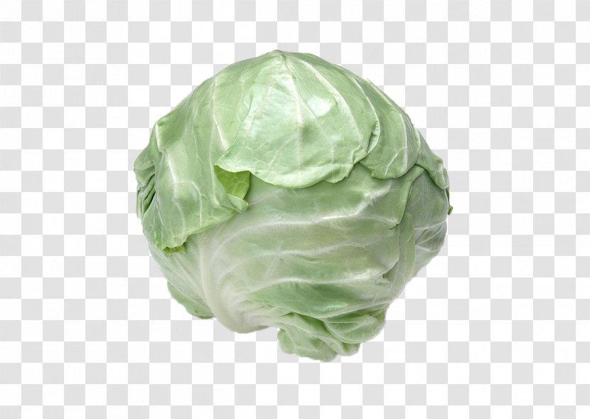 Red Cabbage Broccoli Vegetable Flyer - Food Transparent PNG