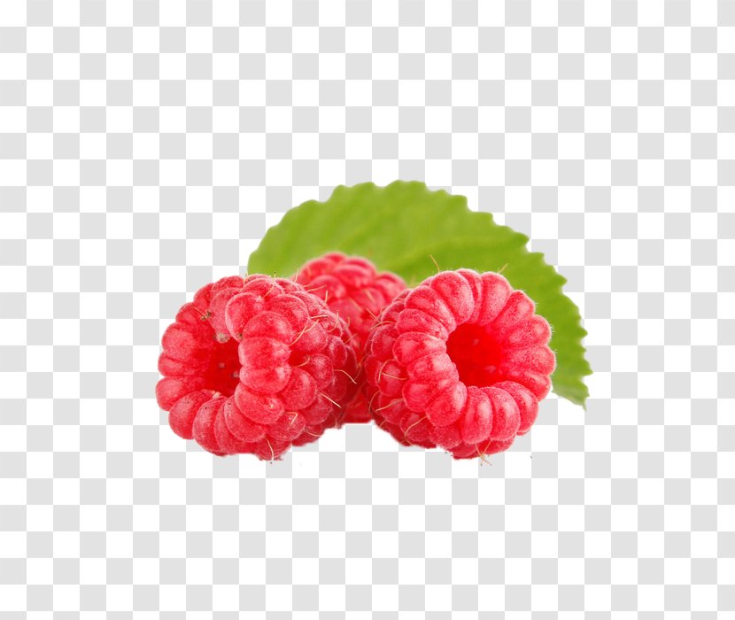 Raspberry Rubus Liquorice Fruit - Petal - Fresh Tempting Raspberries Transparent PNG