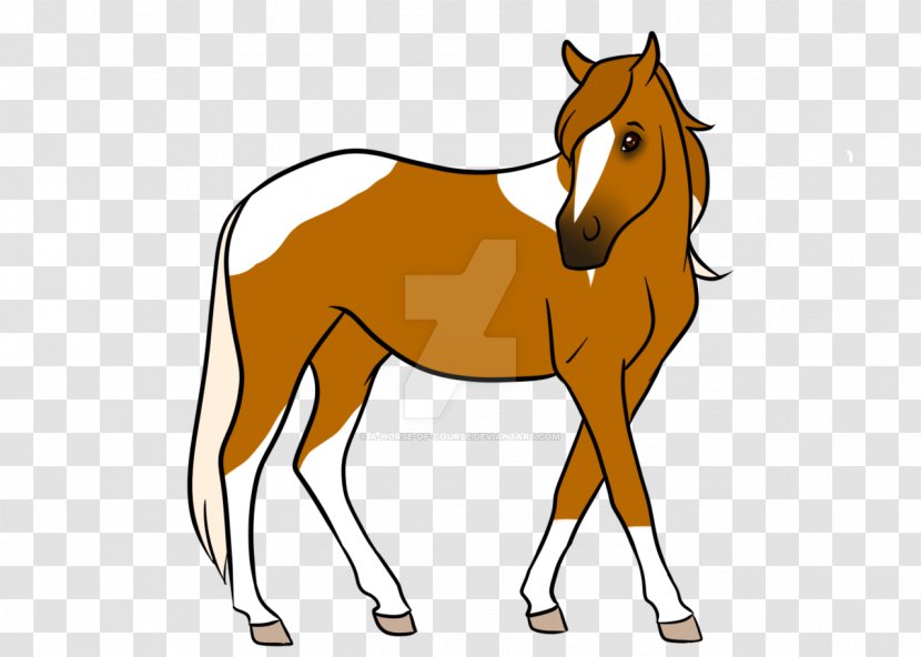 Foal Stallion Colt Pony Mare - Horse Tack - Bear No Buckle Diagram Transparent PNG