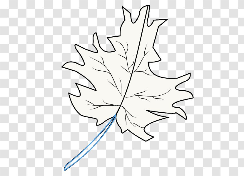 Clip Art Maple Leaf Twig Plant Stem - Line - Leaves Transparent PNG