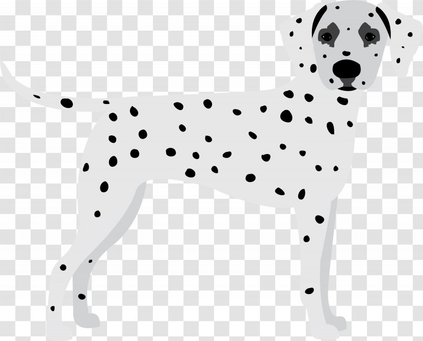Dog Dalmatian Animal Figure Non-sporting Group Snout - Nonsporting Transparent PNG