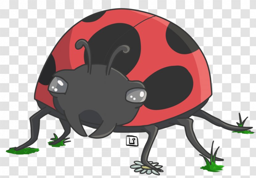 Ladybird Beetle Pest Clip Art Transparent PNG