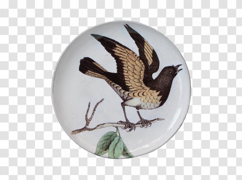 Ceramic Platter Tableware Beak Bird - Cooking Ware Transparent PNG