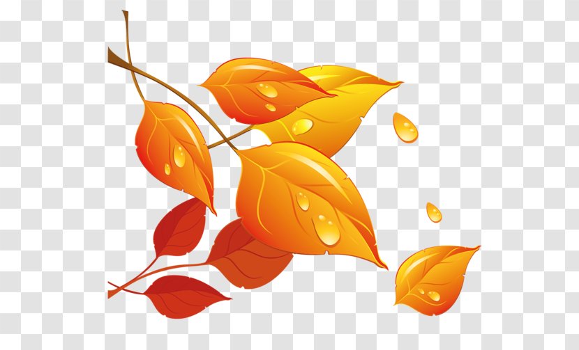 Autumn Leaf Clip Art - Albom - Golden Leaves Transparent PNG