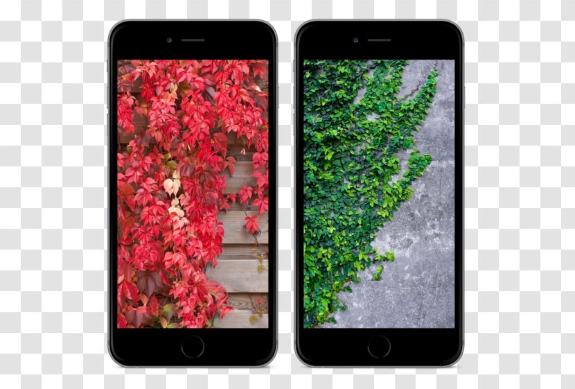 IOS 10 IPhone HomePod Desktop Wallpaper - Mobile Phones - Phone Transparent PNG