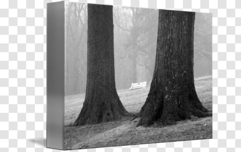 Wood Stock Photography /m/083vt - Tree Transparent PNG