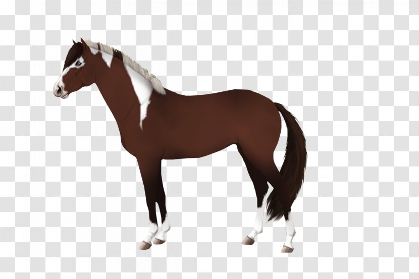 Mane Stallion Mustang Mare Colt Transparent PNG