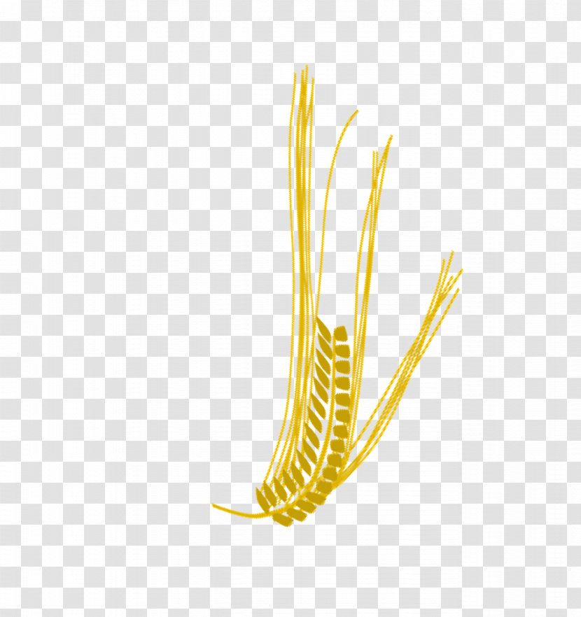 Branch Wheat Image Leaf Transparency And Translucency - Tree Transparent PNG