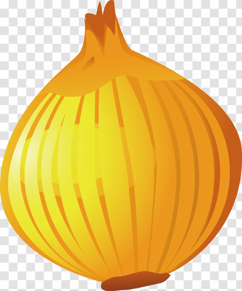 Pumpkin Onion Vegetable Food - Yellow - Vector Transparent PNG