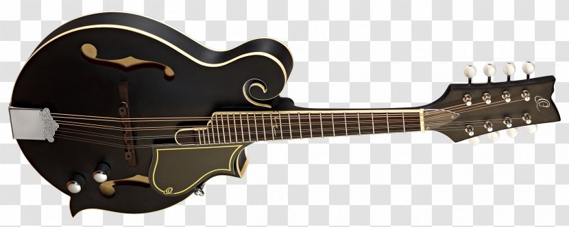 Acoustic-electric Guitar Cavaquinho Mandolin Bridge - Plucked String Instruments - Electric Transparent PNG