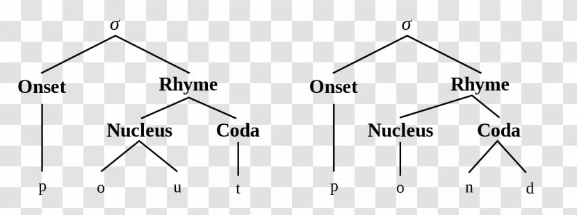 Syllable Coda Phonology Phonotactics Consonant Cluster - Symmetry Transparent PNG