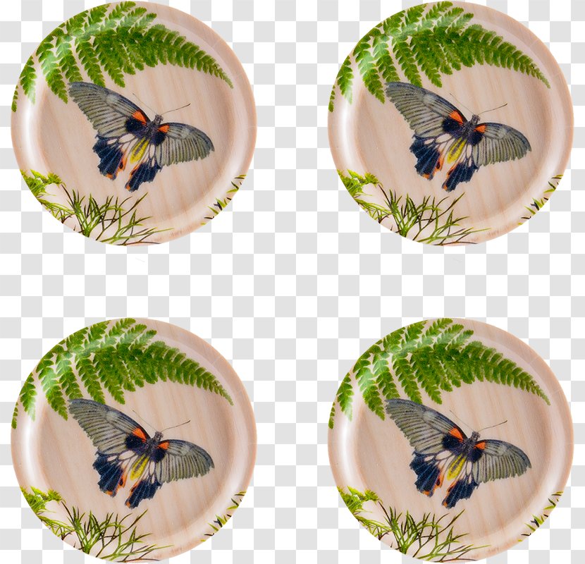 Birch Coasters Dill Tray Insect - Fauna Transparent PNG