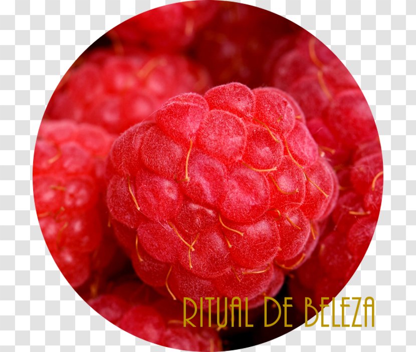 Raspberry Loganberry Boysenberry Tayberry - Cream Transparent PNG