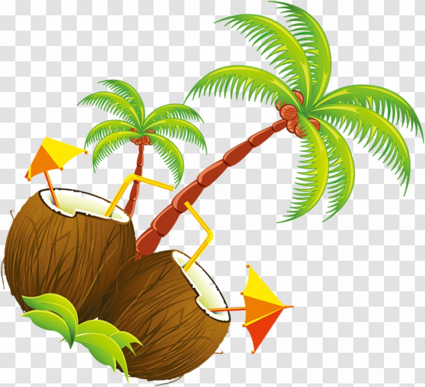 Coconut Tree Cartoon - Tropics - Flower Elaeis Transparent PNG