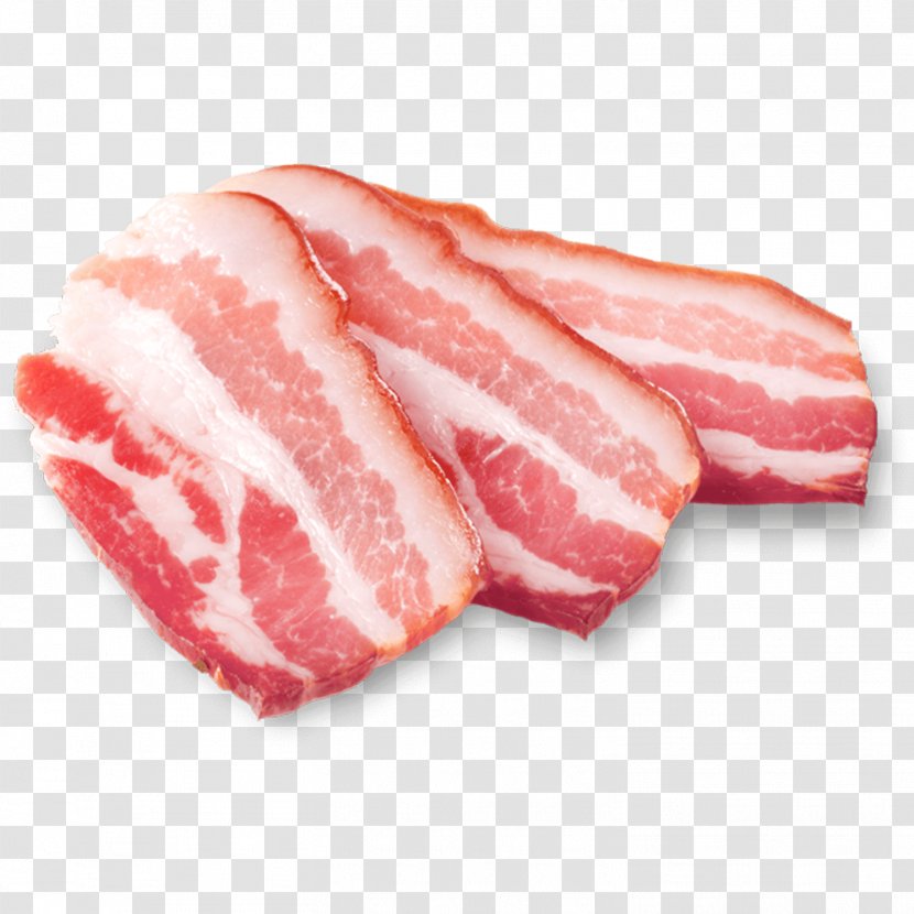 Bacon Ham Domestic Pig Salami Pork Jowl - Tree Transparent PNG