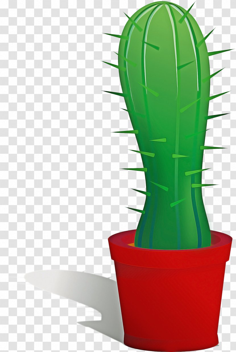 Green Grass Background - Hedgehog Cactus - Succulent Plant Transparent PNG