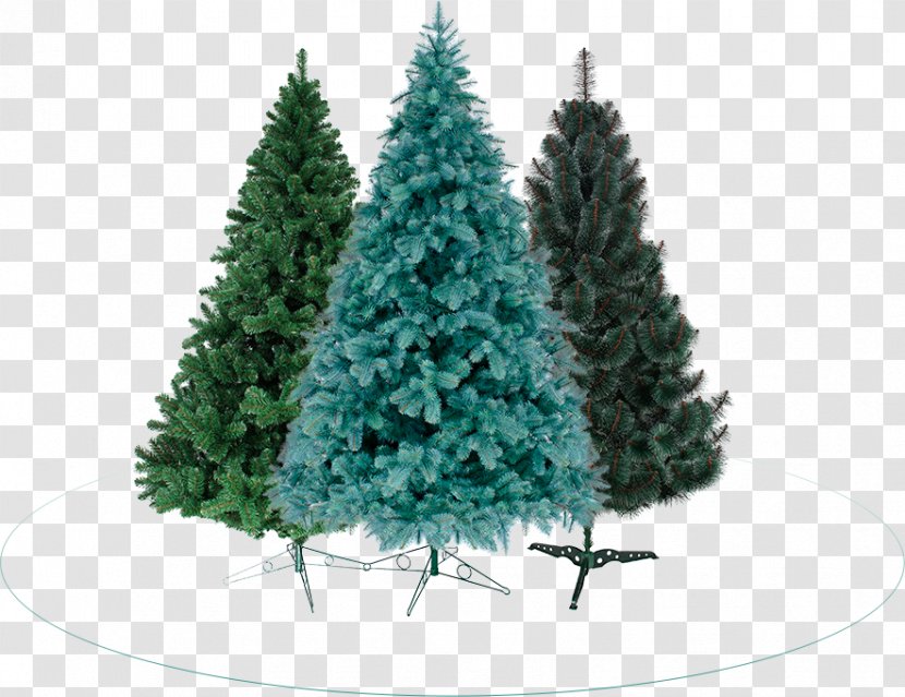 Spruce Christmas Ornament Tree Pine - Needles Picture Material Transparent PNG