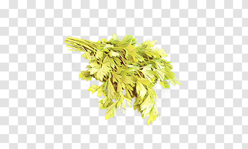 Plant Yellow Leaf Flower Tree Transparent PNG