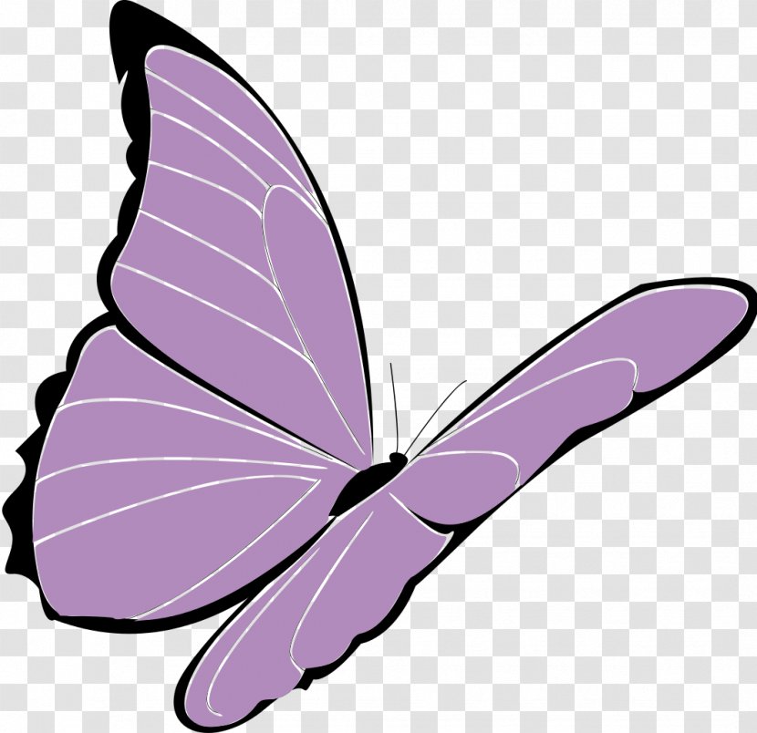 Butterfly Clip Art - Brush Footed Transparent PNG