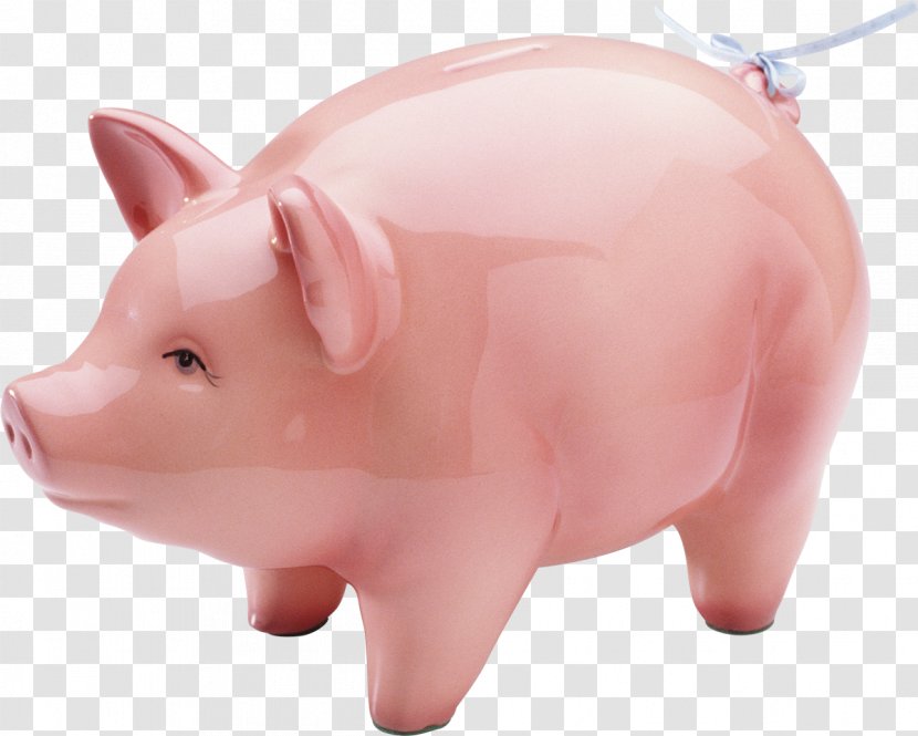 Porky Pig Ceramic Domestic Animation Transparent PNG