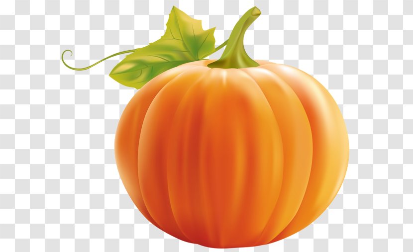 Calabaza Pumpkin Cucurbita Pepo Clip Art Transparent PNG