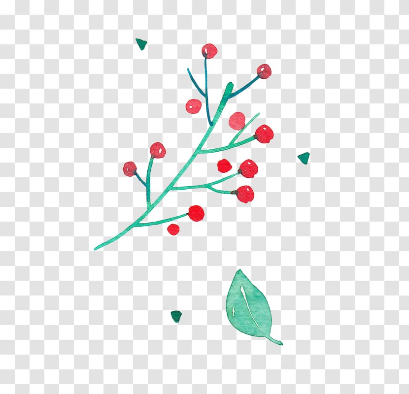Red Euclidean Vector Download - Flower - Painted Berries Transparent PNG